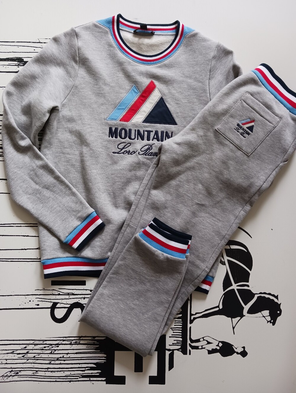 Boys LORO PIANA SET- Sweatshirt And Sweatpants Size Age 12.